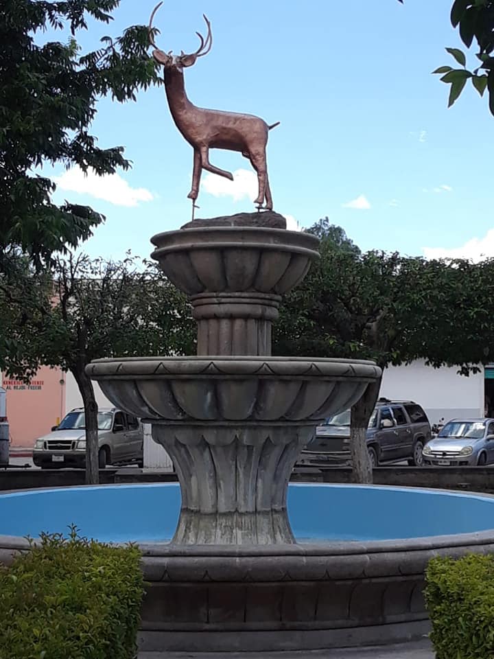 Venado, S.L.P. 2021-2024
