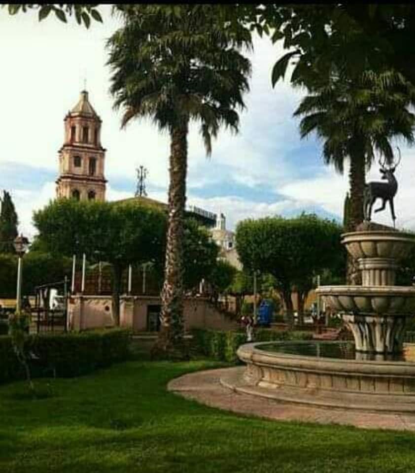 Venado, S.L.P. 2021-2024
